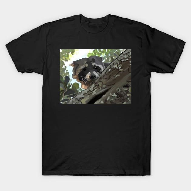 Peeking Baby Racoon T-Shirt by laceylschmidt